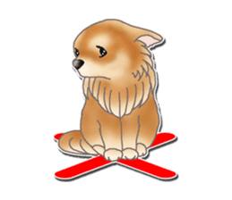Daily life of Chihuahua sticker #10786462