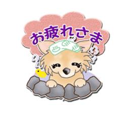 Daily life of Chihuahua sticker #10786465