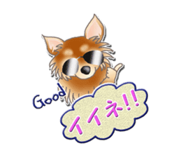 Daily life of Chihuahua sticker #10786466