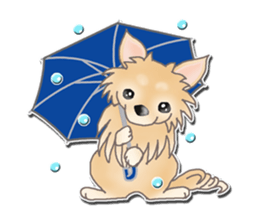 Daily life of Chihuahua sticker #10786469