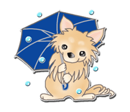 Daily life of Chihuahua sticker #10786469
