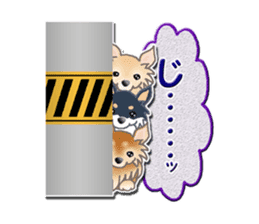 Daily life of Chihuahua sticker #10786472