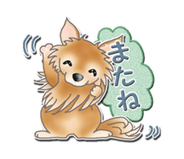 Daily life of Chihuahua sticker #10786473