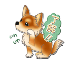 Daily life of Chihuahua sticker #10786474