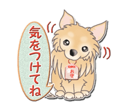 Daily life of Chihuahua sticker #10786477