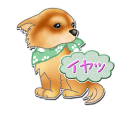 Daily life of Chihuahua sticker #10786478