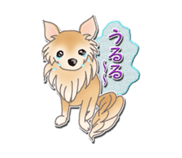 Daily life of Chihuahua sticker #10786485
