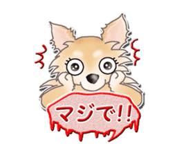 Daily life of Chihuahua sticker #10786489
