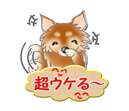 Daily life of Chihuahua sticker #10786490