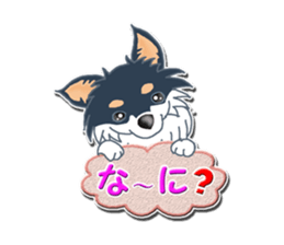 Daily life of Chihuahua sticker #10786495