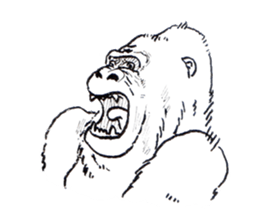 Gonger_GORILLA sticker #10788514
