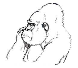 Gonger_GORILLA sticker #10788531