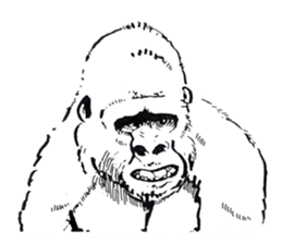 Gonger_GORILLA sticker #10788532
