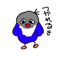 Blue button parakeets Sticker 3 sticker #10789267