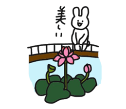Rabbit live in Machida sticker #10792380