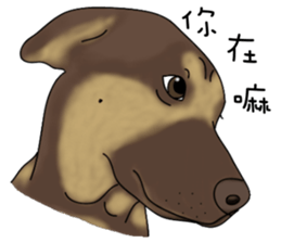 Boss Choco sticker #10792580