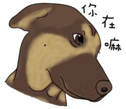 Boss Choco sticker #10792580