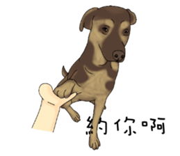 Boss Choco sticker #10792581