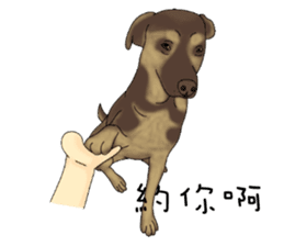 Boss Choco sticker #10792581