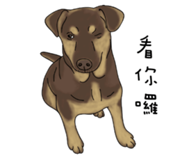 Boss Choco sticker #10792582