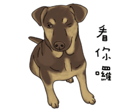 Boss Choco sticker #10792582