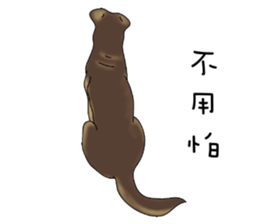 Boss Choco sticker #10792586