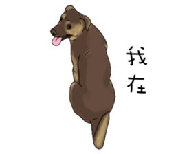 Boss Choco sticker #10792587