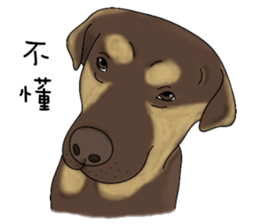 Boss Choco sticker #10792589