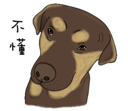 Boss Choco sticker #10792589