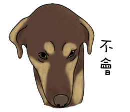 Boss Choco sticker #10792590