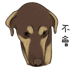 Boss Choco sticker #10792590