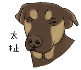 Boss Choco sticker #10792591