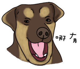 Boss Choco sticker #10792592