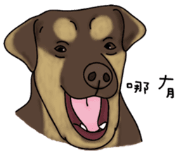 Boss Choco sticker #10792592