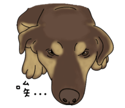 Boss Choco sticker #10792593