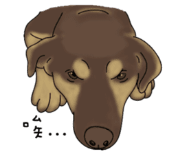 Boss Choco sticker #10792593