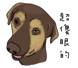 Boss Choco sticker #10792594