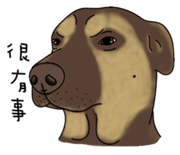 Boss Choco sticker #10792595