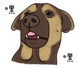 Boss Choco sticker #10792596