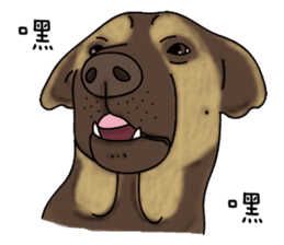 Boss Choco sticker #10792596