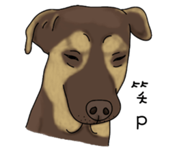 Boss Choco sticker #10792597