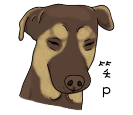 Boss Choco sticker #10792597