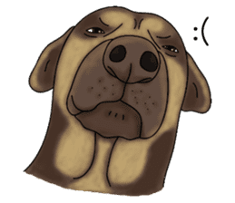 Boss Choco sticker #10792598