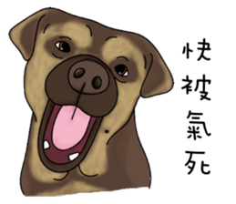 Boss Choco sticker #10792599