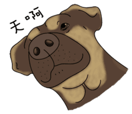 Boss Choco sticker #10792600