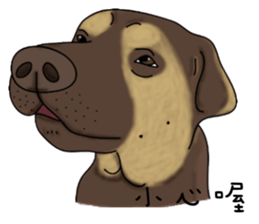 Boss Choco sticker #10792601