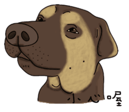 Boss Choco sticker #10792601