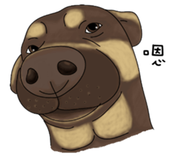 Boss Choco sticker #10792603