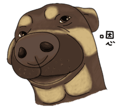 Boss Choco sticker #10792603