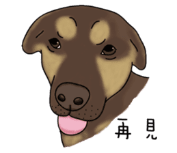 Boss Choco sticker #10792605